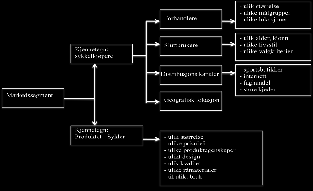 Sykkel AS- Strategianalyse av omgivelsene 45