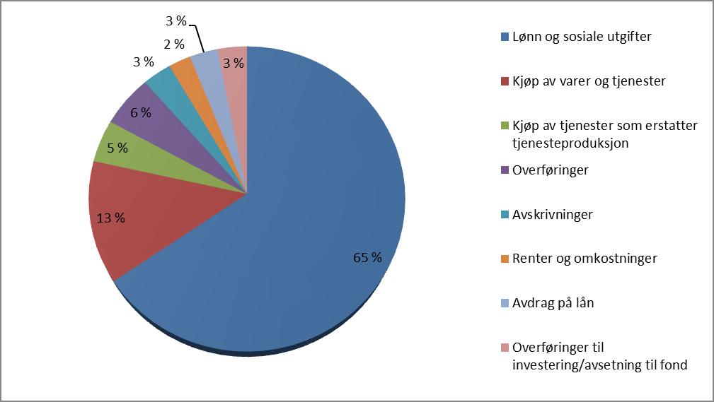 Diagrammet nedenfor viser fordelingen av utgiftene i Nordre Land kommune i 2011: Lønn inklusive sosiale utgifter var i 2011 nesten 336 millioner kroner.