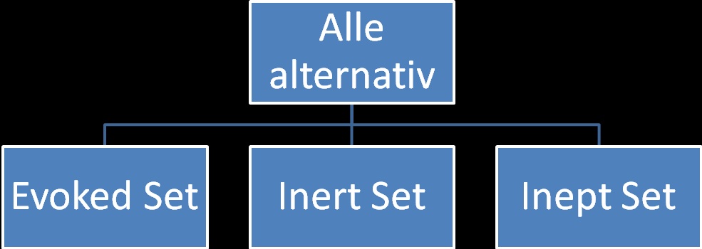 Figur 3-4 - Evoked Set Alternativene som forbruker evaluerer før et kjøp kan man kategorisere som Evoked Set. Videre kan forbruker ha et sett av alternativer som man bevist har valgt bort før et kjøp.