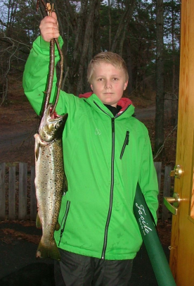 Det er fisk i havet! Torsken og annen fisk er praktisk talt borte på indre og ytre Åsvika.