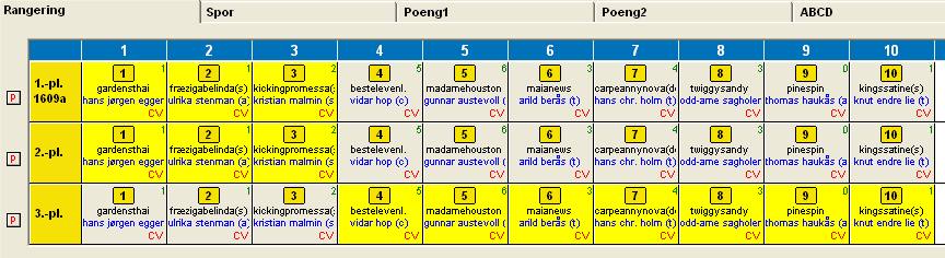 I de øvrige spilleformene utgjør hvert løp en rad. Ved Trippel er raden isteden koblet til plasseringen, slik at første raden er vinneren, andre raden er andrehesten i løpet og så videre.