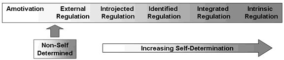 2008; Ingledew et al., 1998; Mullan & Markland, 1997; Patrick & Canevello, 2011), som fremmes av et autonomt miljø (Silva et al., 2011). 5.