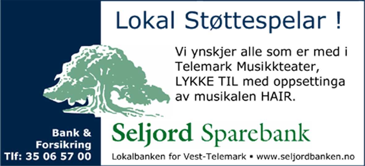 Økonomiske bidragsytarar: Telemark Fylkeskommune www.telemark-fk.no Midt-Telemark Næringsutvikling AS www.mtnu.no Seljord kommune www.seljord.kommune.no Vinje kommune www.
