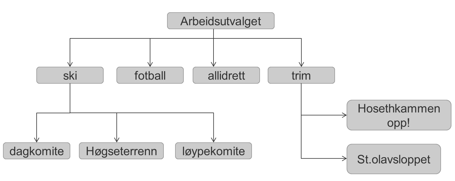 komiteer som ikke er underlagt en spesiell undergruppe: Anleggskomite Valgkomite Sponsorgruppe