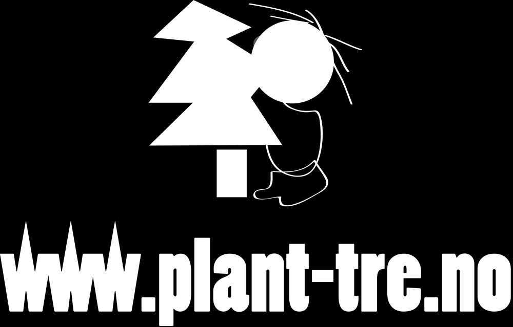 PLANT TRE BYGG