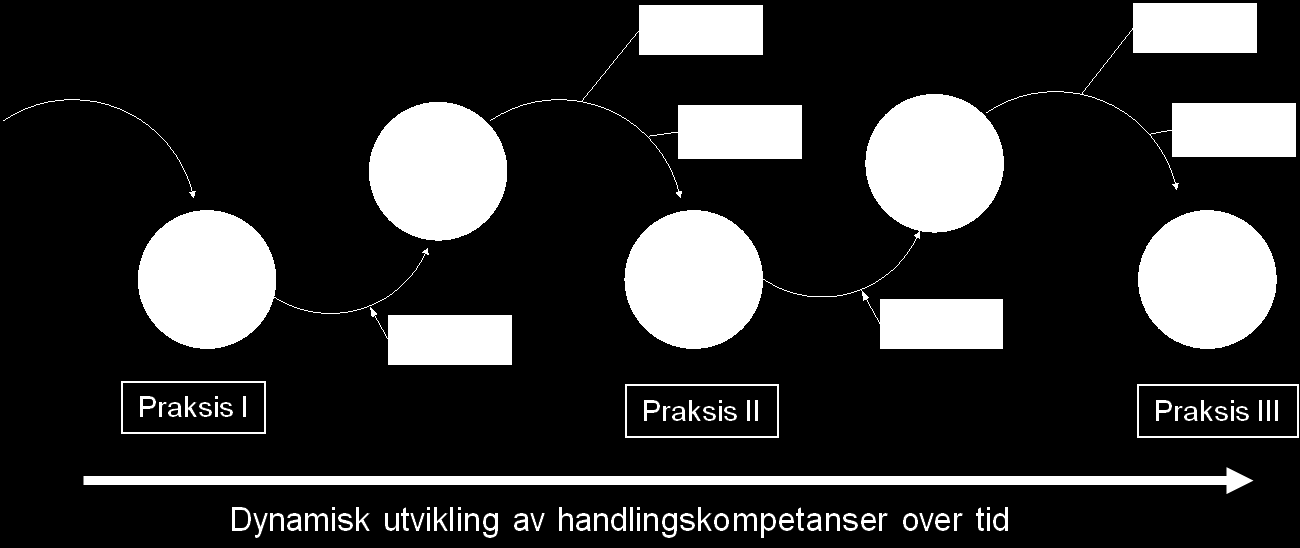 måten transformert til kontekstspesifikke operative kompetanser som er spesifikt utformet i og for den nye konteksten.