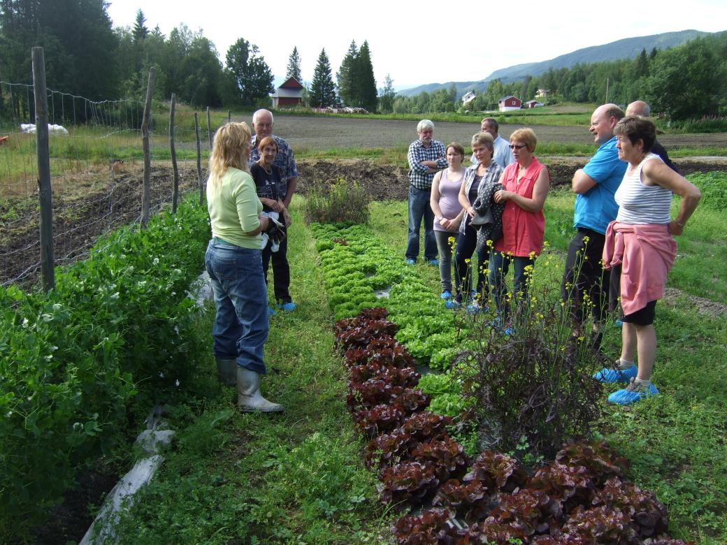 sommervær! Årsmøtet holdes i Bodø* torsdag 28. februar 2013 klokka 12.00 *På Statens hus i Moloveien 10.