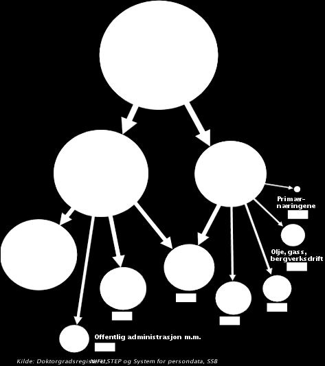 Sektor- og næringstilknytning for