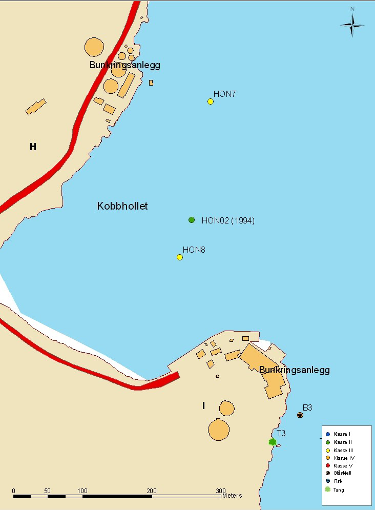 Figur 28: Klassifisering av PCB-innhold i overflatesedimenter