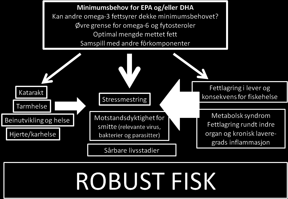 Figur 1; Oppsummert fiskehelse og velferdstilstander som er dokumentert påvirkes av fettsyresammensetning i fôret, og kunnskapsbehov for å sikre produksjon av robust fisk med endret