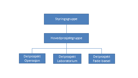 BUSP II, Nytt Senter for Barn, Unge og Fødende- fornyet konseptrapport side 12 1.