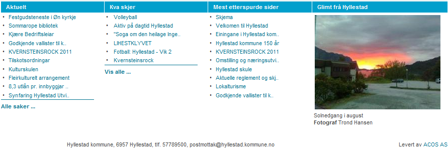 Dette gjeld også alle skjemaa som ligg ute så vel som informasjon om arbeid, ledige stillingar og informasjon om fritidsaktivitetar.