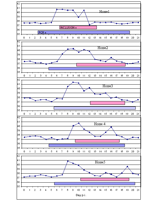 Figur nr. 3: Figuren illustrerer de daglige prøveresultatene fra dag null til dag 21 p.i. gjennomført av Franzèn (1).