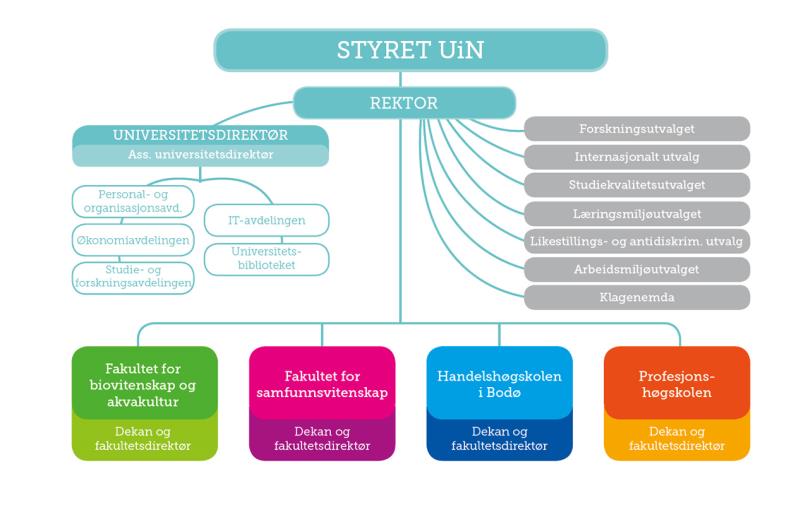 Organisering og ledelse Styret i UiN er institusjonenes øverste beslutningsorgan.