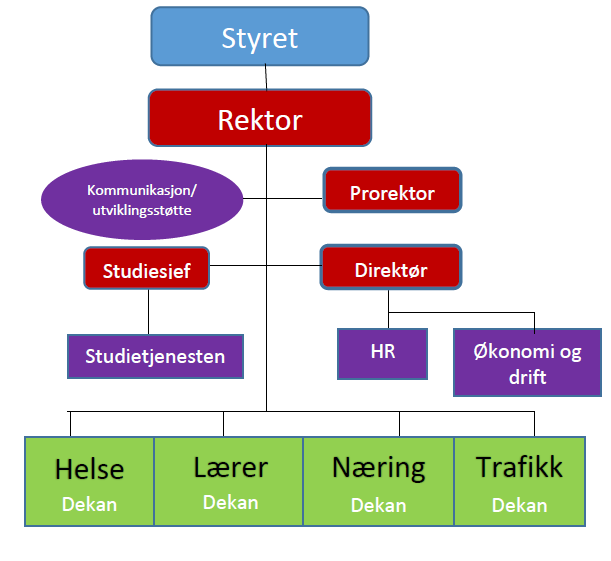 Universitetet består av fire fakulteter som har det faglige ansvaret for hvert sitt doktorgradsprogram. UiN har tilsatt rektor og ekstern styreleder.