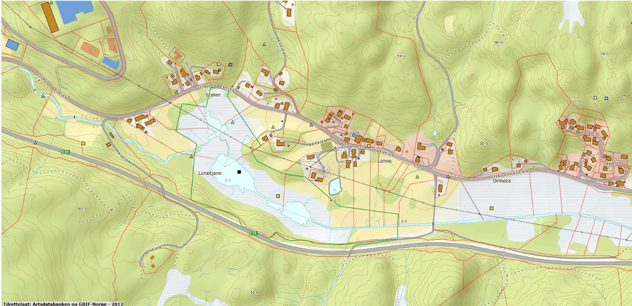 naturtype «Store gamle trær» med verdi «Viktig», E: Lohneveien Hukken, naturtypen «Artsrik veikant» med verdi «Lokalt viktig», F: Lundeelva og Føssa, naturtypen «Viktig bekkedrag» med verdi «Viktig»