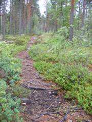 Utmarksarealene sør for anleggene Det er flotte turforhold og mange fine stier i området og de mange vannene i området gjør det spesielt variert og fint som turområde.