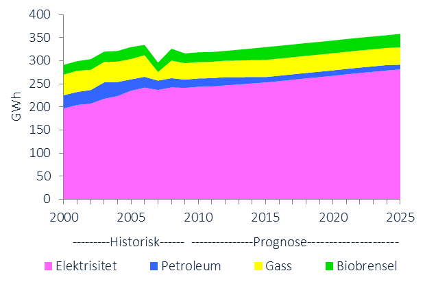 UTVIKLINGSTREKK ENERGIFORBRUK I årets utredning presenteres kun oppdaterte tall for elektrisitet og fjernvarme. Dette er fordi det ikke finnes statistikk for øvrige energibærere fra årene etter 2009.