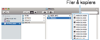 Kopiering 3 (For Windows Vista) klikk OK 4 Koble fra USB-kabelen og lukk LCD-skjermen Liste over filer og mapper Mapper og filer opprettes i innebygd minne og på minnekortet som vist nedenfor De