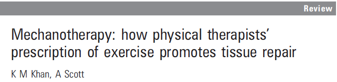 Muscloskeletal injuries Ligament and tendon injuries Turning movement into tissue healing Dynamic