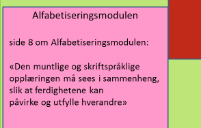 Så tilbake til «Læreplanen». Nå skal vi se litt nærmere på hva som står i Alfabetiseringsmodulen.