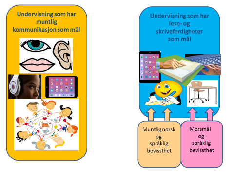 Undervisning som har muntlig kommunikasjon som mål, og den blå: Undervisning som har lese- og skriveferdigheter som mål. To ulike fag som muliggjør ulikt tempo og progresjon i de to ferdighetene.