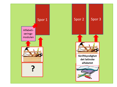 I Alfabetiseringsmodulen og spor 1 går deltakere som har lite eller ingen skolegang fra hjemlandet og som ikke er skriftkyndige på det latinske alfabetet.