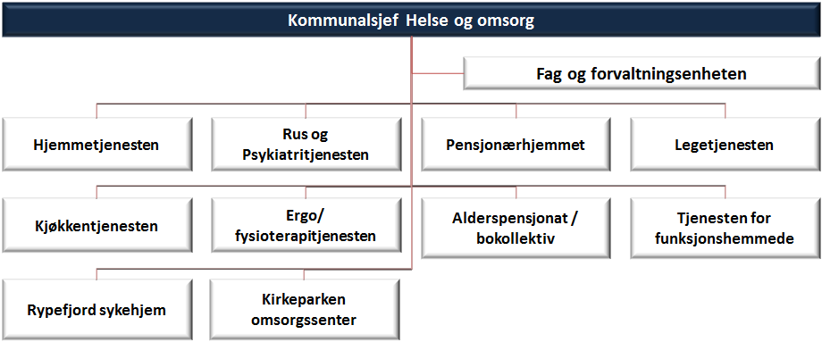 44 ÅRSRAPPORT 2013 HAMMERFEST KOMMUNE HELSE OG OMSORG Organisasjonskart Beskrivelse av virksomheten Sektoren består av 9 virksomheter innen helse, ergo- fysioterapi, eldreomsorg, hjemmebaserte