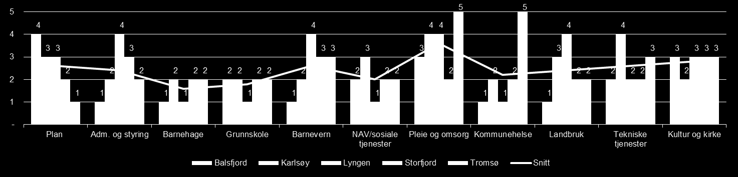 Seksjon 2 Gode og likeverdige tjenester til innbyggerne 13 Status og utfordringer - eksempel Kommunenes egenvurdering av kriteriet «relevant