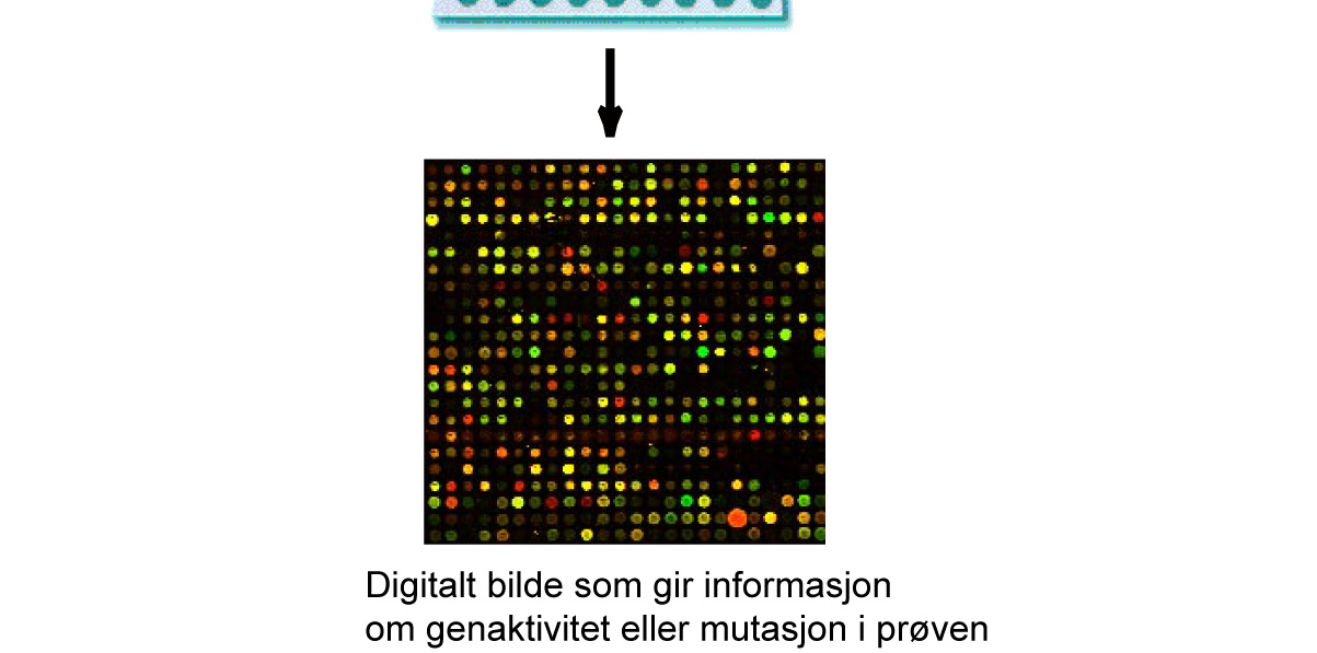 I hver spot enkelt trådige