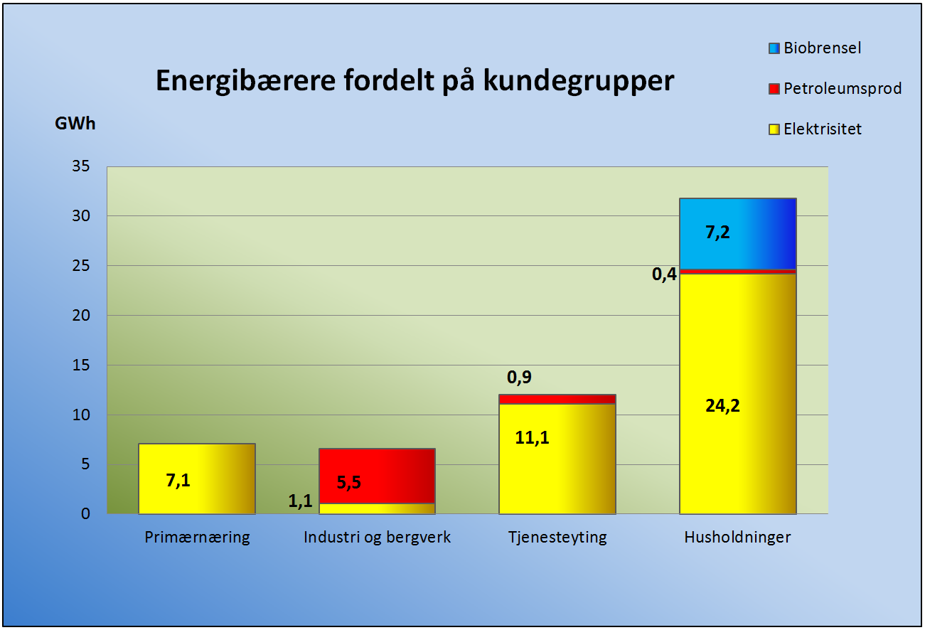 Den prosentvise fordelingen av energibruken i forhold til formål går fram av figur 18. Den viser at husholdningene dominerer, med tjenesteytinger som den nest største forbrukeren.