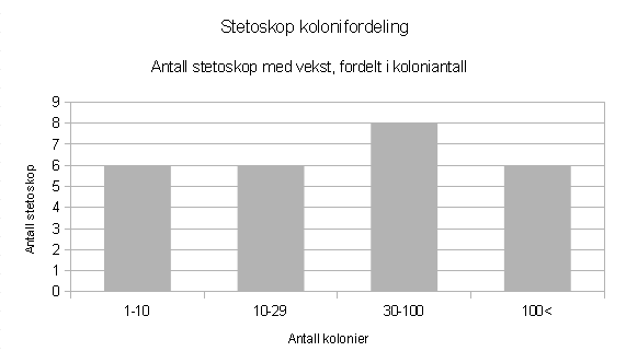 Figur 4: Antall kolonier som vokste på stetoskopene. Hvor ofte legene desinfiserer stetoskopet og mobiltelefonen ser vi i figur 7.