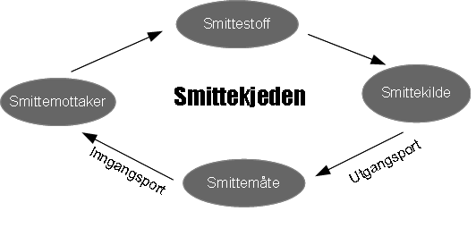 Under ser vi en modell for hvordan smittespredning foregår. (4) Figur 1: Smittekjeden.