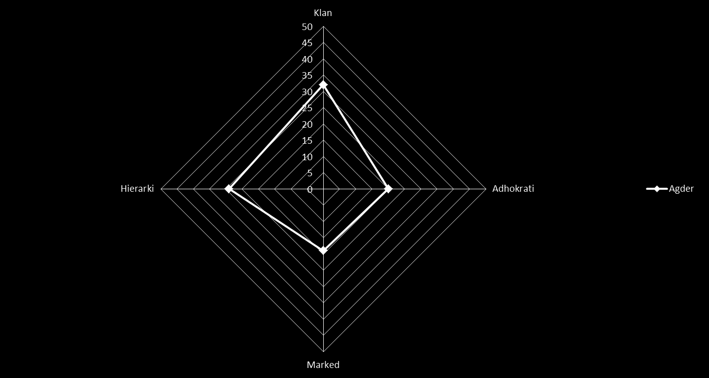AGDER Agder Klan 32 Adhokrati 20 Marked 19 Hierarki 29 Morten Øgård og