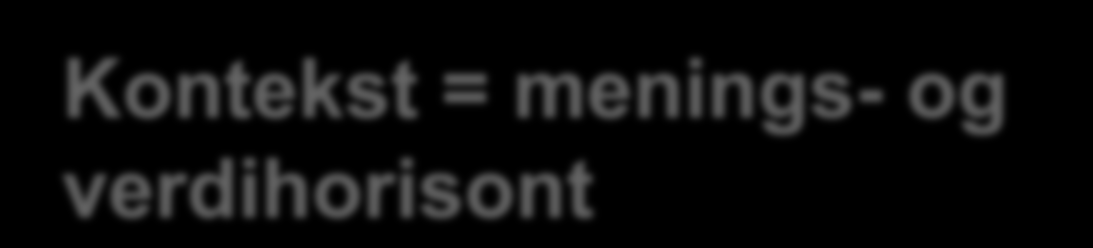 Kontekst = menings- og verdihorisont Profesjonell kompetanse = i faglig kontekst fra novise til ekspert. Å være ekspert er den inkarnerte faglighet som illustrerer fagets etiske idealer i praksis.