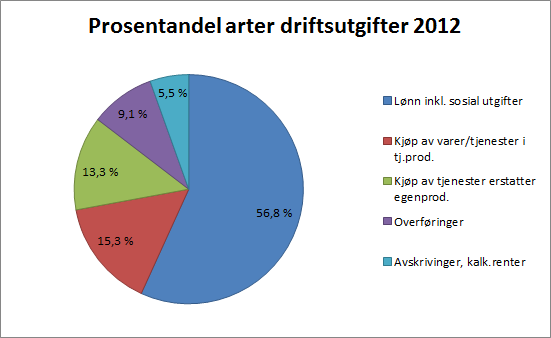 Oversikten viser at det er inntekts og formueskatt, rammetilskudd og overføringer med krav om motytelse som er de største inntektspostene.