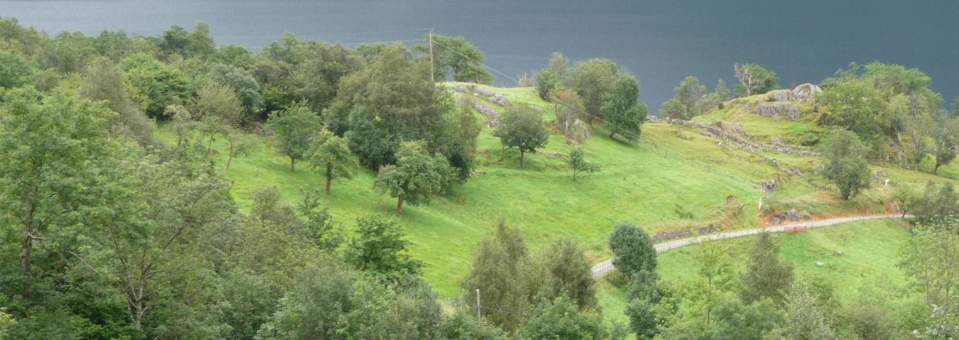 KU - deltema kulturminne og kulturmiljø - E134 Stordalen i Etne kommune 38 Utdrag frå Per Fett, Førhistoriske minne på Vestlandet, Bergen museum.