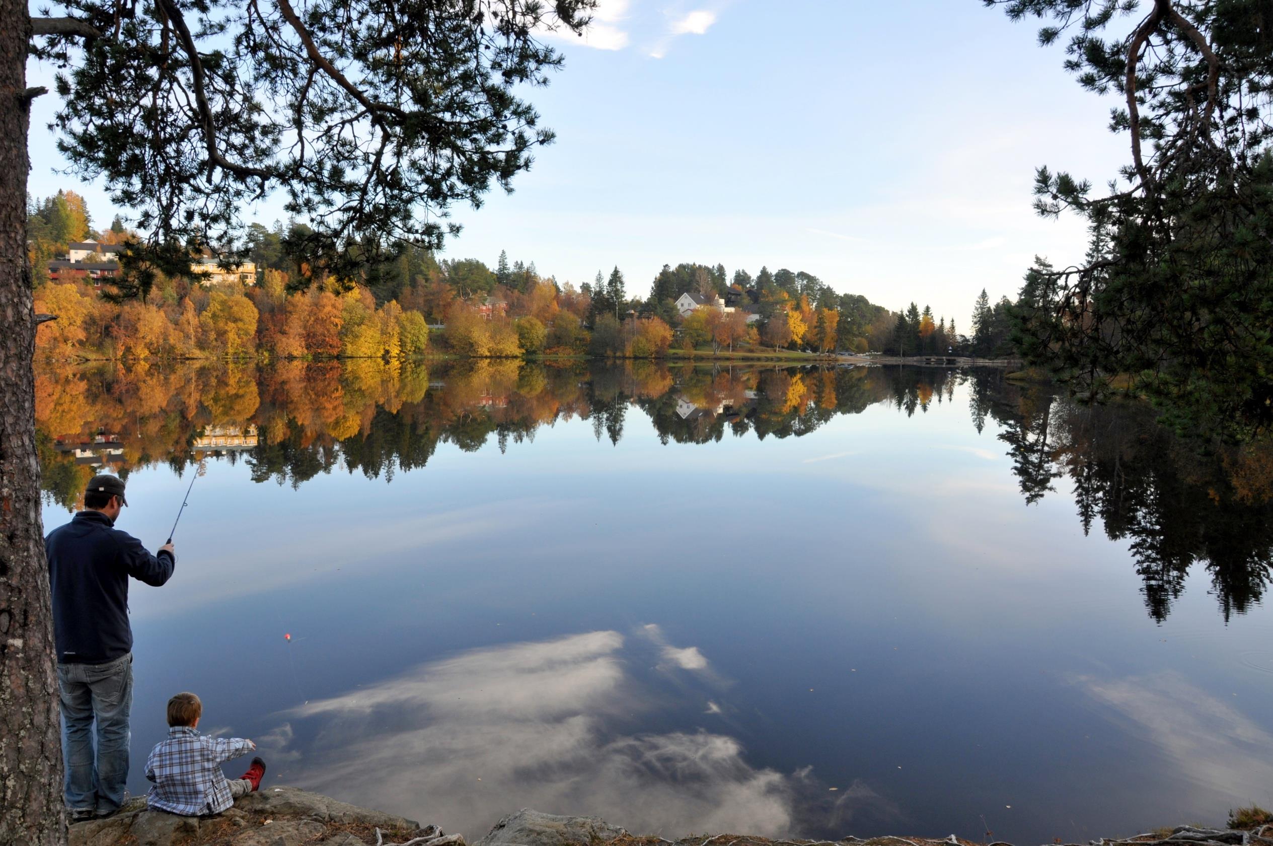 NOU 2013:10 Naturens goder om verdier av