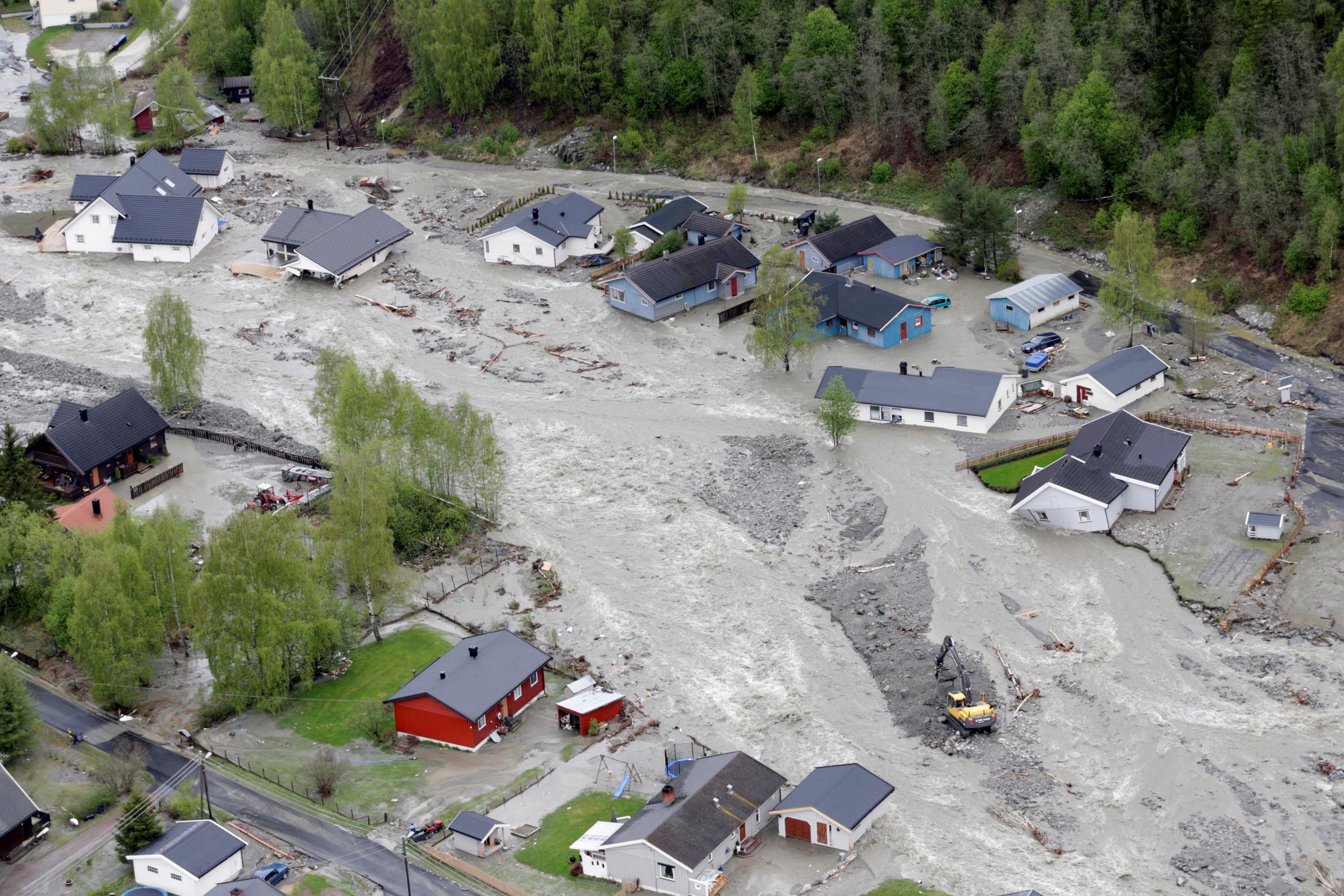 Økosystemtjenester Mange viktige tjenester fra norske økosystemer Kunnskapen må styrkes Eget