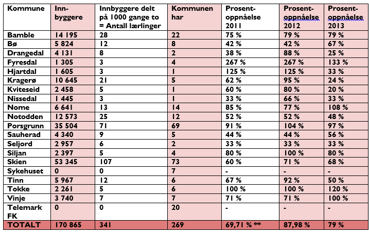 Tal frå «Lærlingepatruljen» 2013* (viser tal frå