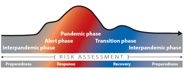 5 WHOs beskrivelse av pandemiske faser 5.1 Utvikling av pandemien i ulike faser Utvikling til en pandemi vil være foranlediget av visse, bestemte hendelser.