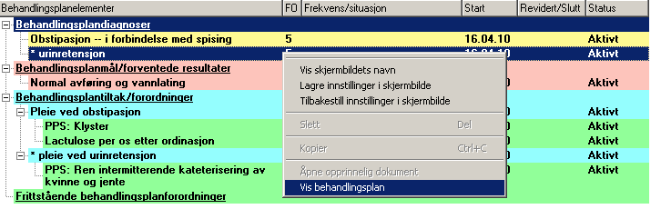 Det kan være behov for å lese det dokumentet der elementet ble lagt inn i behandlingsplanen. Markér det aktuelle element Klikk.