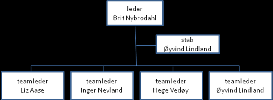 Teamlederen har i tillegg ansvar for å koordinere fritidstilbud til beboere i døgnbemannet bolig og arbeider i perioder med prosjekt på tvers av teamene eller i samarbeid med alle