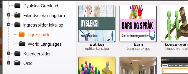 Dysleksi Norge Lage nettsider Ledermøte Laste opp en fil Du kan laste opp egne filer. Det vanligste er bilder eller dokumenter. Bruk gjerne PDF, det tar minst plass.