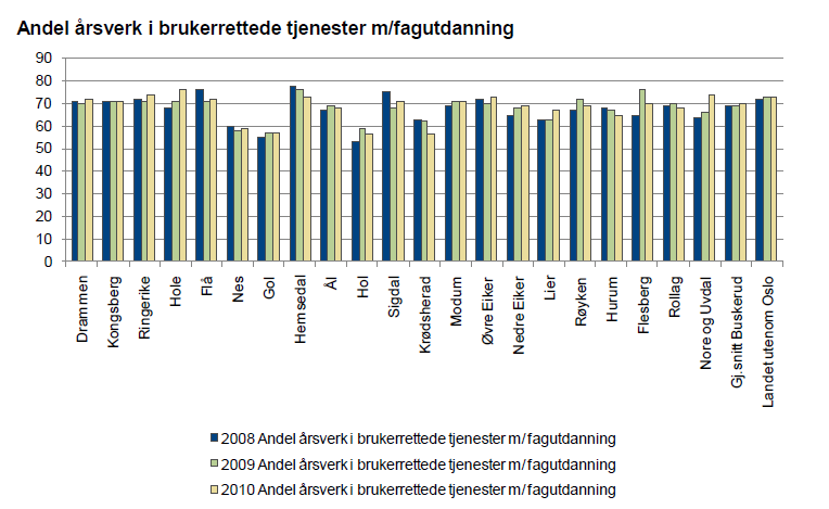 GENERELT Bemanning gjennom året Tabell frå tilstandsrapport i Buskerud 2011 fagdekking innan pleie og omsorg. Det er god fagdekning og kompetanse i etaten.