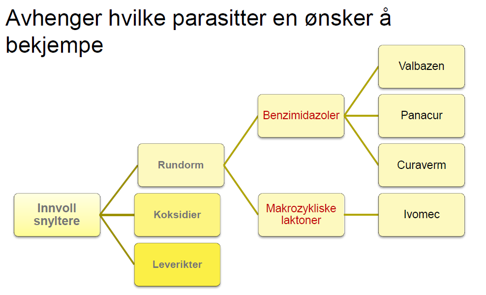 Vårmøte 20 mars 2014 Framtidig sauehald krev rett behandling av