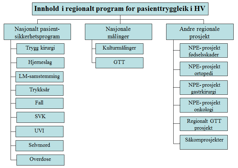 Det nasjonale pasientsikkerhetsprogrammet «I trygge hender» er en videreføring av den nasjonale pasientsikkerhetskampanjen som gikk fra 2011-2013. Programmet varer ut 2018.