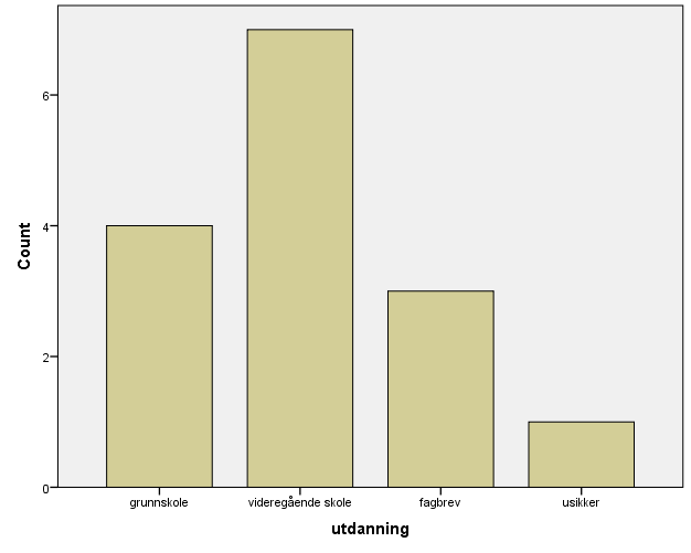 Utdanningsnivå Fig 4.utdanningsnivå Figur 4. Utdanningsnivå blant brukerne Utdanningsnivået blant brukerne er relativt lavt.