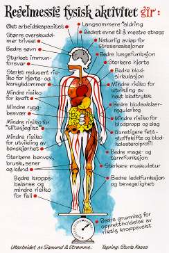 Klassifisering av treningsintensitet (trening som varer opp til 60 minutter) Aerob/utholdende trening Styrketrening Intensitet %HR maks RPE # % (1 RM) Veldig lett < 20 < 10 < 30 Lett 20 39 10 11 30