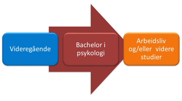 1.0. Bachelorstudium i anvendt psykologi 1.